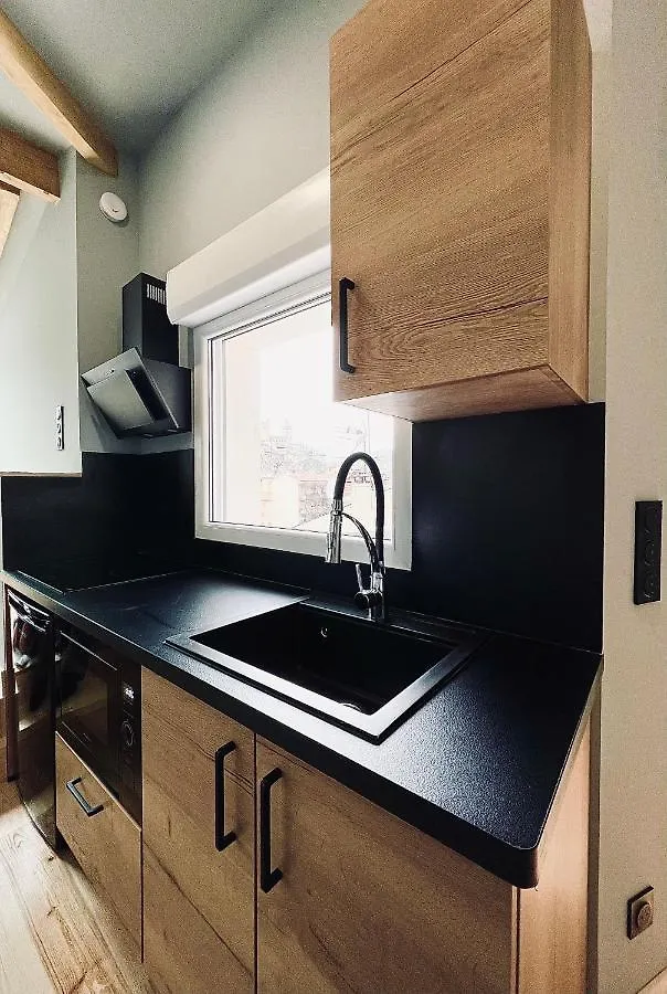 Loft Sous Un Ciel Etoile 2/4 Pers Apartment Foix France